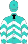 Turquoise, white chevrons