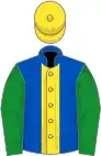 Royal blue, yellow stripe, green sleeves, yellow cap