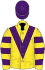 Yellow, purple chevron, hooped sleeves, purple cap