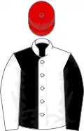 Black and white (halved), sleeves reversed, red cap