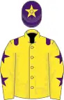 Yellow, purple epaulets, yellow sleeves, purple stars, purple cap, yellow star