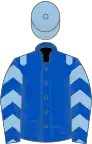 Royal blue, light blue epaulets, chevrons on sleeves, light blue cap