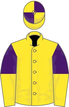 Yellow, purple and yellow halved sleeves, yellow and purple quartered cap