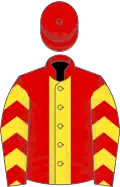 Red, yellow stripe, chevrons on sleeves