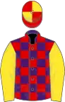 Purple and red check, yellow sleeves, red and yellow quartered cap