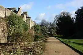 Old city wall in the College gardens