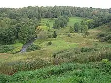 Pühajõgi River in the park