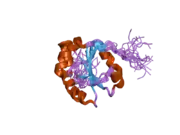 1x5e: The solution structure of the thioredoxin-like domain of human Thioredoxin-related transmembrane protein