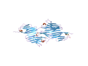 1ya5: Crystal structure of the titin domains z1z2 in complex with telethonin