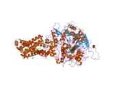 1yq4: Avian respiratory complex ii with 3-nitropropionate and ubiquinone