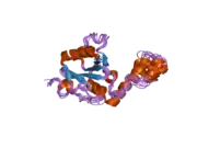 1yzb: Solution structure of the Josephin domain of Ataxin-3