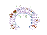 1ziw: Human Toll-like Receptor 3 extracellular domain structure