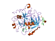 2ank: orally active thrombin inhibitors in complex with thrombin and an exosite decapeptide