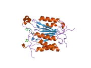 2c2z: CRYSTAL STRUCTURE OF CASPASE-8 IN COMPLEX WITH AZA-PEPTIDE MICHAEL ACCEPTOR INHIBITOR