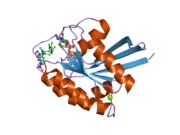 2clc: CRYSTAL STRUCTURE ANALYSIS OF A FLUORESCENT FORM OF H-RAS P21 IN COMPLEX WITH GTP (2)