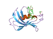 2dg4: FK506-binding protein mutant WF59 complexed with Rapamycin