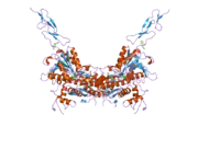 2e4u: Crystal structure of the extracellular region of the group II metabotropic glutamate receptor complexed with L-glutamate