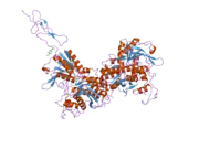 2e4y: Crystal structure of the extracellular region of the group II metabotropic glutamate receptor complexed with 2R,4R-APDC