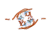 2e50: Crystal structure of SET/TAF-1beta/INHAT