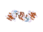 2etk: Crystal Structure of ROCK 1 bound to hydroxyfasudil