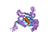 2f2d: Solution structure of the FK506-binding domain of human FKBP38