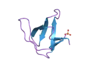 2f2x: alpha-spectrin SH3 domain R21G mutant