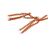 2fic: The crystal structure of the BAR domain from human Bin1/Amphiphysin II and its implications for molecular recognition