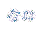 2fpe: Conserved dimerization of the ib1 src-homology 3 domain