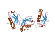 2gbr: Crystal Structure of the 35-36 MoaD Insertion Mutant of Ubiquitin