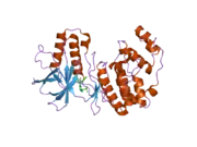 2ghl: Mutant Mus musculus p38 kinase domain in complex with inhibitor PG-874743