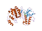 2ghm: Mutated MAP kinase p38 (Mus musculus) in complex with inhbitor PG-895449