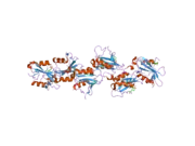 2hdx: Crystal structure of the Src homology-2 domain of SH2-B in complex with Jak2 pTyr813 phosphopeptide