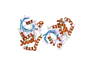 2hy3: Crystal structure of the human tyrosine receptor phosphate gamma in complex with vanadate