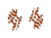 2hyw: Human Annexin A2 with Calcium bound