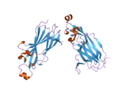 2i32: Structure of a human ASF1a-HIRA complex and insights into specificity of histone chaperone complex assembly