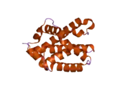 2imt: The X-ray Structure of a Bak Homodimer Reveals an Inhibitory Zinc Binding Site