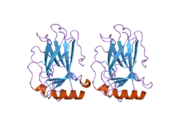 2j1w: HUMAN P53 CORE DOMAIN MUTANT M133L-V143A-V203A-N239Y-N268D