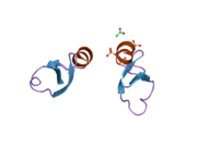 2nle: Human beta-defensin-1 (Mutant Gln11Ala)