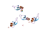 2nlq: Human beta-defensin-1 (Mutant Lys31Ala)