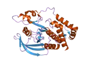 2pbn: Crystal structure of the human tyrosine receptor phosphate gamma