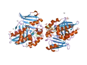 2pfr: Human N-acetyltransferase 2