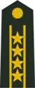 Colonel Commandant