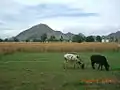 A scenic view of Panj Pir Hill from village Kaddi.