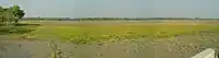 Panoramic view of crop field