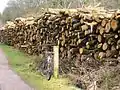 The cycle path in Parkend.