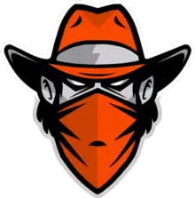 Team logo