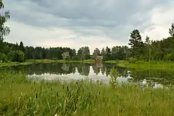 View from Kõrdsijärv, a lake in Partsi