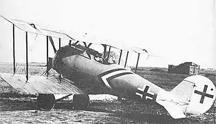 Paul Baumer's Pfalz D.VIII