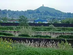 Peat extraction areas near Glastonbury