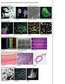 Examples of subject matter that should be filed as photographs